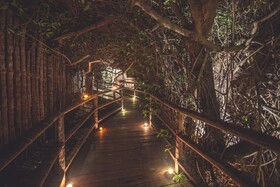 Hidden Treehouse Tulum Ecohotel