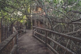 Hidden Treehouse Tulum Ecohotel
