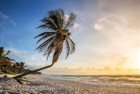 Hidden Treehouse Tulum Ecohotel