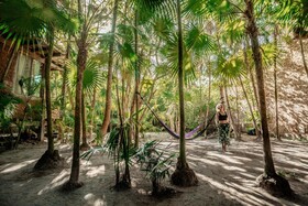 Hidden Treehouse Tulum Ecohotel