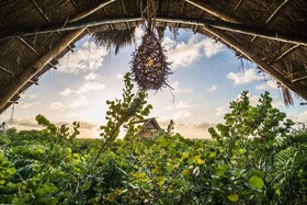 Hidden Treehouse Tulum Ecohotel