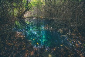 Hidden Treehouse Tulum Ecohotel