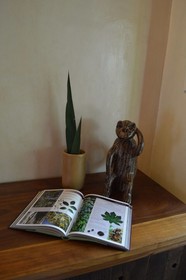 Hotel Chaca