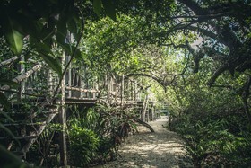 Roc Luxe Tulum