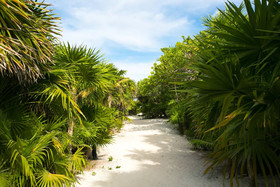 Ikal Tulum Mayan Sanctuary