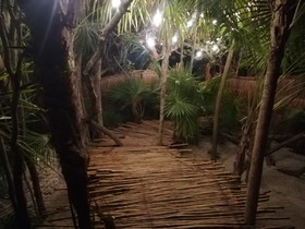 Ikal Tulum Mayan Sanctuary