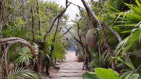 Ikal Tulum Mayan Sanctuary