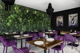 Jungle Lodge Boutique Hotel