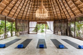 Jungle Lodge Boutique Hotel