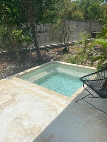 Jungle Lodge Boutique Hotel