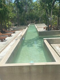 Jungle Lodge Boutique Hotel