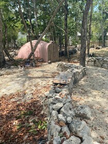 Jungle Lodge Boutique Hotel