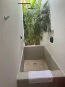 Jungle Lodge Boutique Hotel