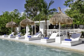 Jungle Lodge Boutique Hotel