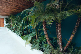 Kaab Tulum