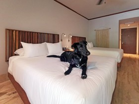 Kimpton Aluna Tulum