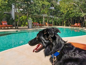 Kimpton Aluna Tulum