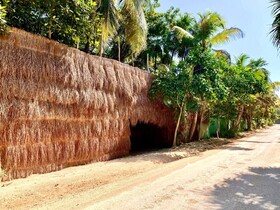 Libelula Tulum