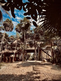 Libelula Tulum