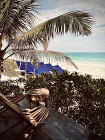 Libelula Tulum