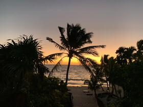 Libelula Tulum
