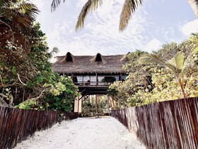Libelula Tulum