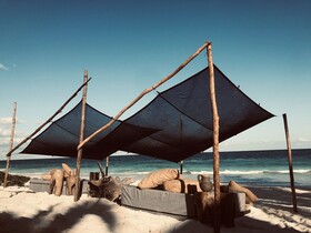 Libelula Tulum