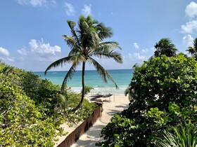 Libelula Tulum