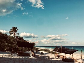 Libelula Tulum