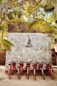 Libelula Tulum