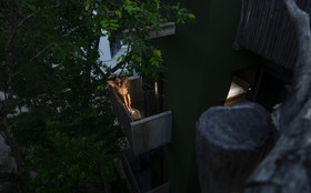 Loba Tulum Male Only