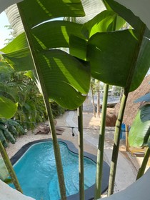 Loto Tulum