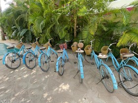 Loto Tulum