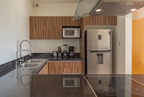 Luxury Ocean View Penthouse Riviera Maya