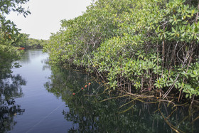Maya Cabanas & Cenote Tulum