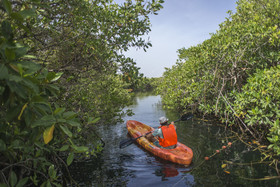 Maya Cabanas & Cenote Tulum