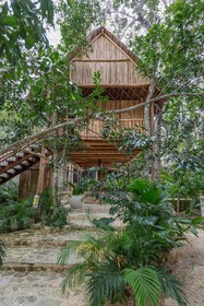 Mayur Tulum