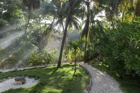 Nest Tulum