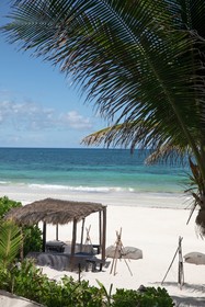 Nest Tulum