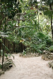 Nest Tulum