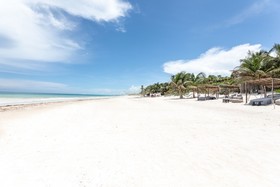 Nest Tulum