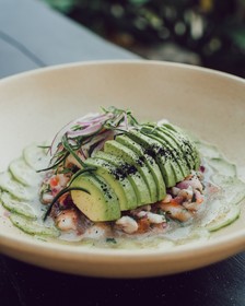 Nest Tulum