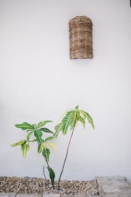 Nest Tulum