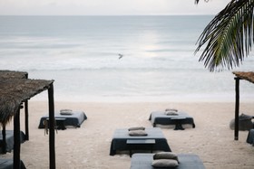 Nest Tulum