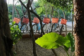 Niik Tulum Hotel Boutique
