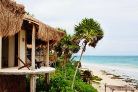 Papaya Playa Project