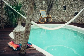 Papaya Playa Project
