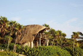 Papaya Playa Project