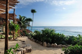 Papaya Playa Project