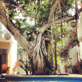 Hotel Posada 06 Tulum